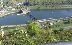 Moselblick