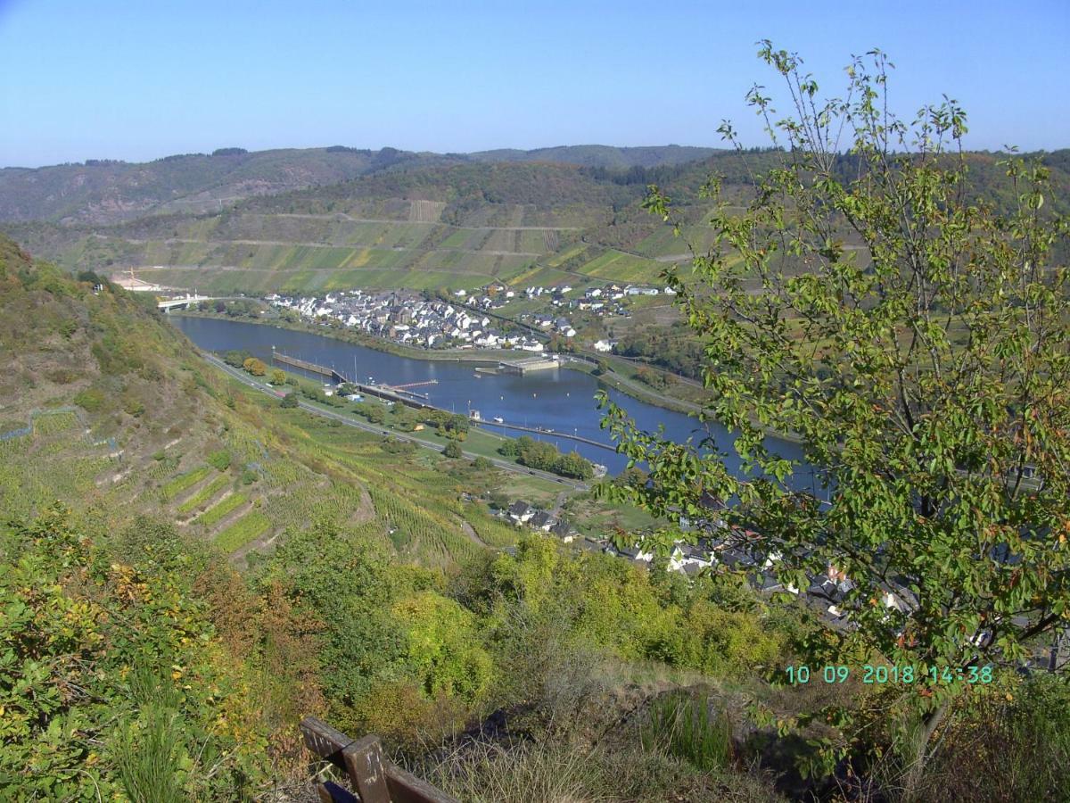 Moselblick Appartement Sankt Aldegund Buitenkant foto