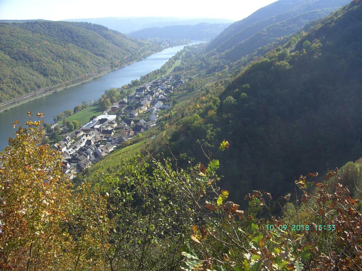 Moselblick Appartement Sankt Aldegund Buitenkant foto