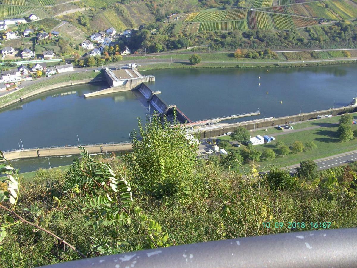 Moselblick Appartement Sankt Aldegund Buitenkant foto